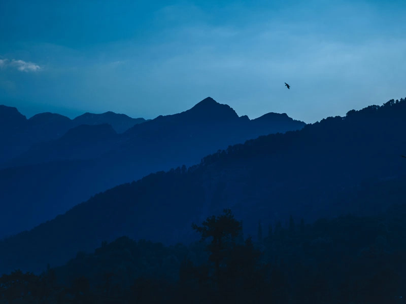 Blog post cover image