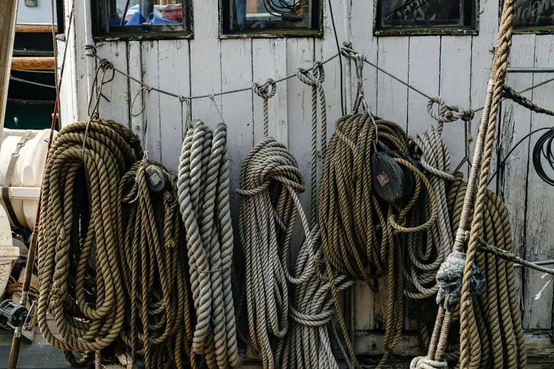 Ropes hanging on a wooden wall
