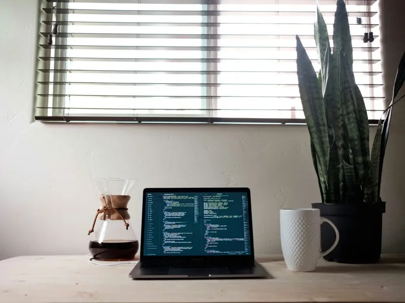 A laptop, mug, and plant on a table